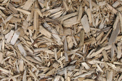 biomass boilers Penycaerau
